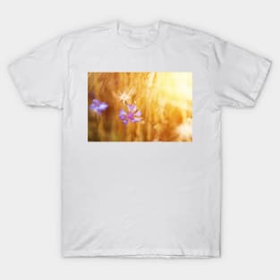 Cornflower on the field of mature grain against bright sun beam T-Shirt